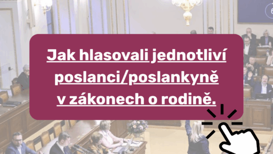 Jak si vedli jednotliví poslanci?