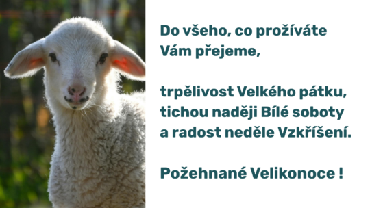 Přeji Vám požehnané Velikonoce
